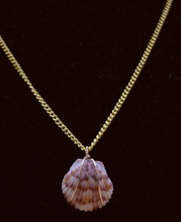 Yellow & Pink Seashell Gold Wire Necklace - Image 2