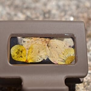 Yellow and Brown Resin Hair Clip